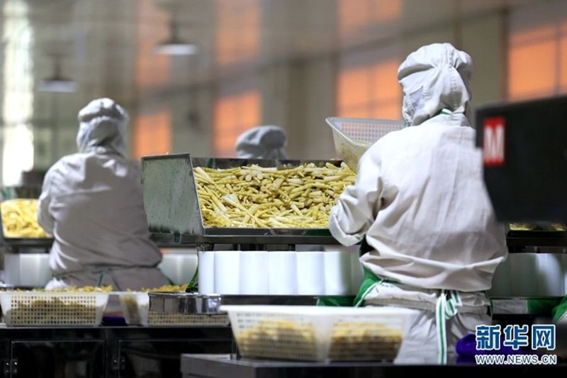 预制菜行业网站:哪些平台更胜一筹?